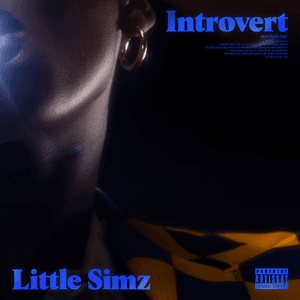 Little Simz