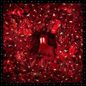 Iron & Wine — Paper and Stone