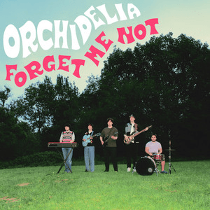 Orchidelia — Forget Me Not