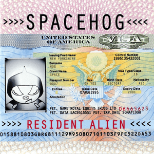 Spacehog — In The Meantime