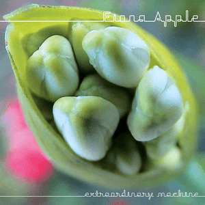 Fiona Apple — Better Version of Me
