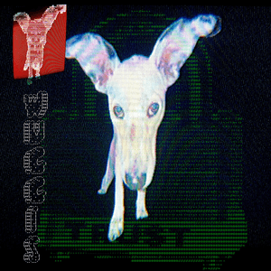 Team Trust — Wuggis