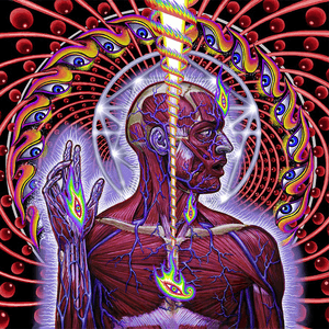 TOOL