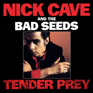 Nick Cave & The Bad Seeds — Up Jumped the Devil
