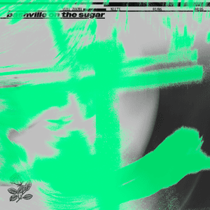 Yumi Zouma — Bashville on the Sugar