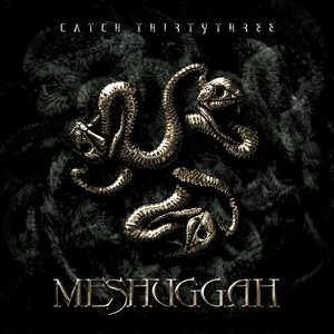 Meshuggah