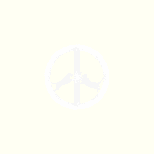 Hype Williams