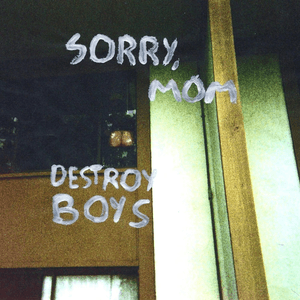 Destroy Boys