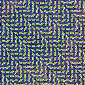 Animal Collective